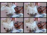 /images/profile/mid/7fc974bd99e8def0963101f3464f171cb57e86c5d6b5b3e61987791a/71227151.jpg